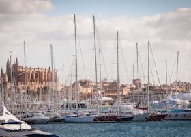 Scenic view of Palma's marina with yachts and the Cathedral in the background.